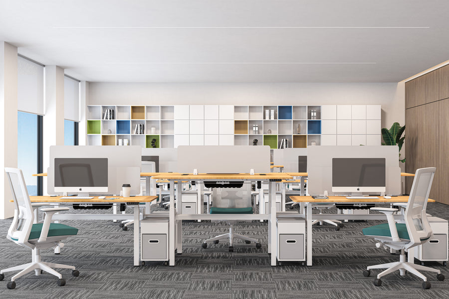 Load image into Gallery viewer, Autoniture DuoFlex Dual-Workstation Electric Lifting Table