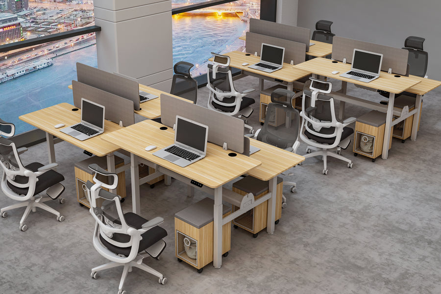 Load image into Gallery viewer, Autoniture DuoFlex Dual-Workstation Electric Lifting Table