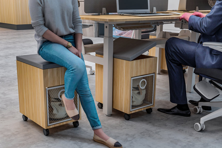 Load image into Gallery viewer, Autoniture DuoFlex Dual-Workstation Electric Lifting Table