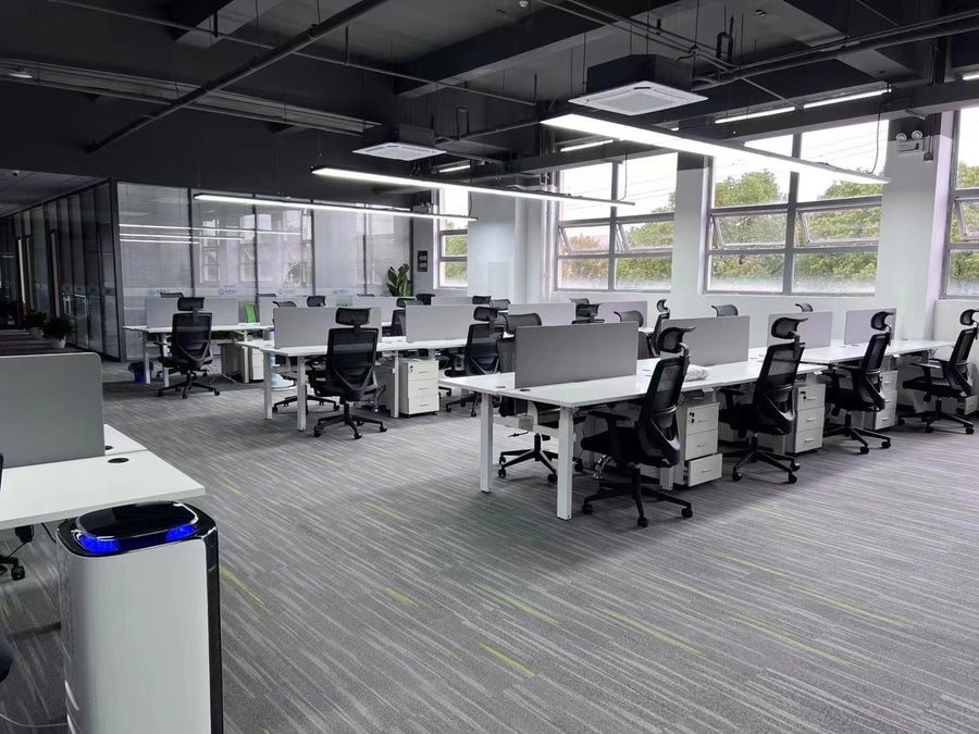 Load image into Gallery viewer, Autoniture DuoFlex Dual-Workstation Electric Lifting Table