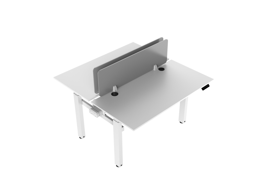 Load image into Gallery viewer, Autoniture DuoFlex Dual-Workstation Electric Lifting Table