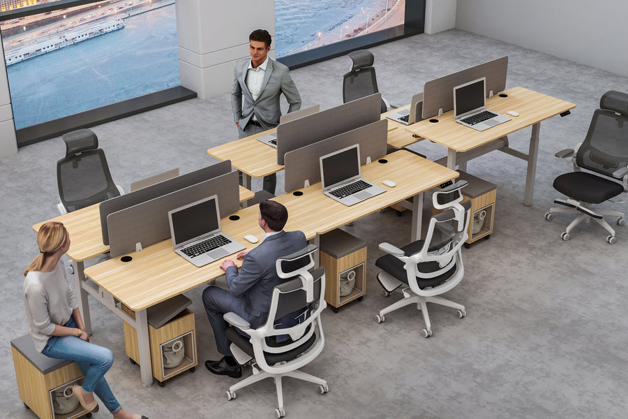 Load image into Gallery viewer, Autoniture DuoFlex Dual-Workstation Electric Lifting Table
